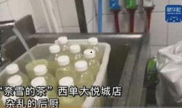 奈雪最新爆料视频,品牌新动向与神秘新品首度亮相